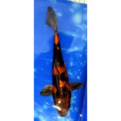 photo fin avril 2023