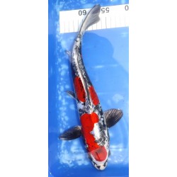 photo : décembre 2023