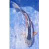 Shusui 35 cm éleveur Ikarashi Ozumi