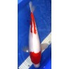 Kohaku 40-45 cm