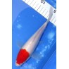 Kohaku 22cm éleveur Maruseï Hirasawa