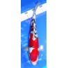 Doitsu Sanke 37cm éleveur Aoki