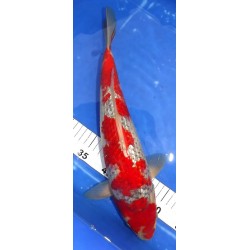 photo décembre 2022