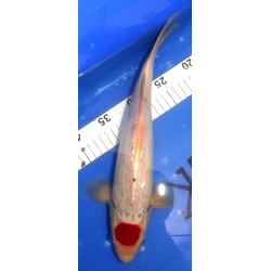 photo décembre 2022