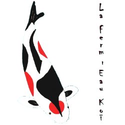 Chèque-Cadeau 2026 : 10 €