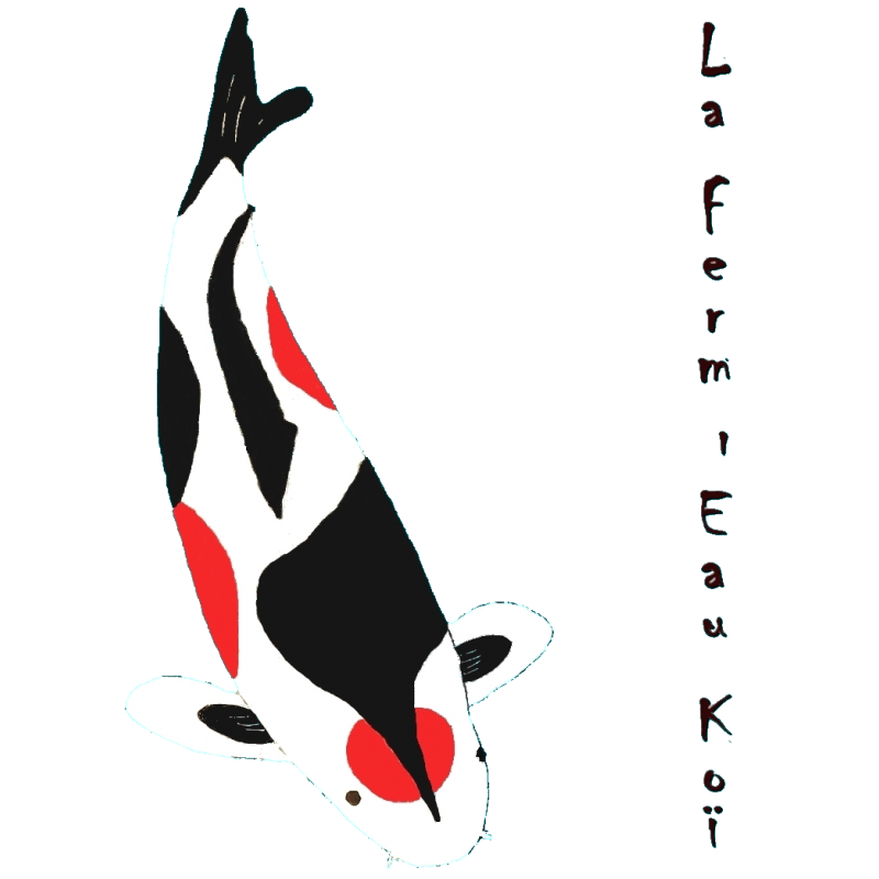 Chèque-Cadeau 2026 : 10 €