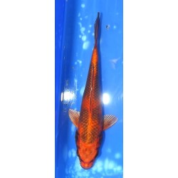 photo décembre 2022